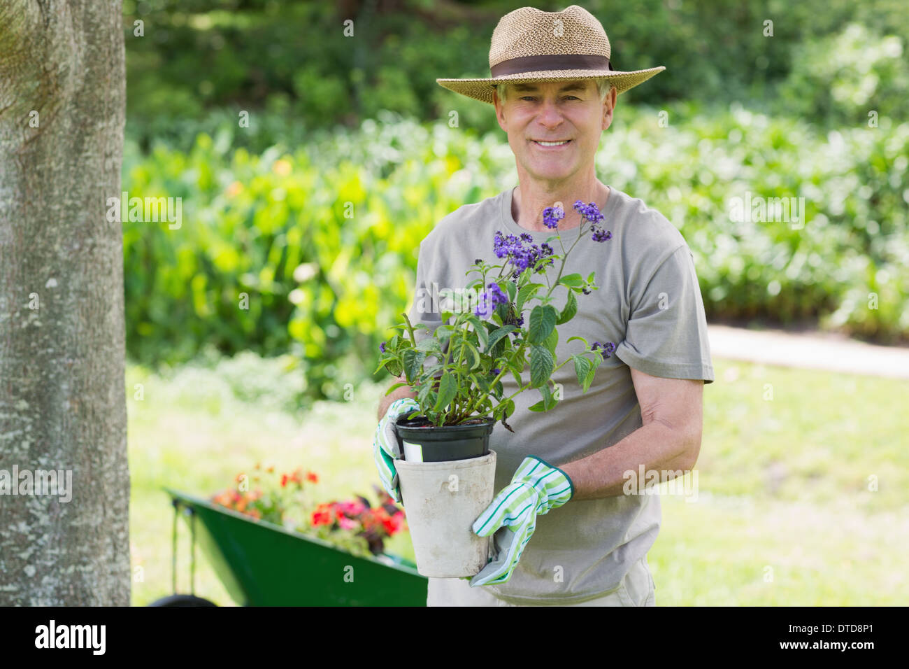 Reifen Mann lächelnd tätig im Gartenbau Stockfoto