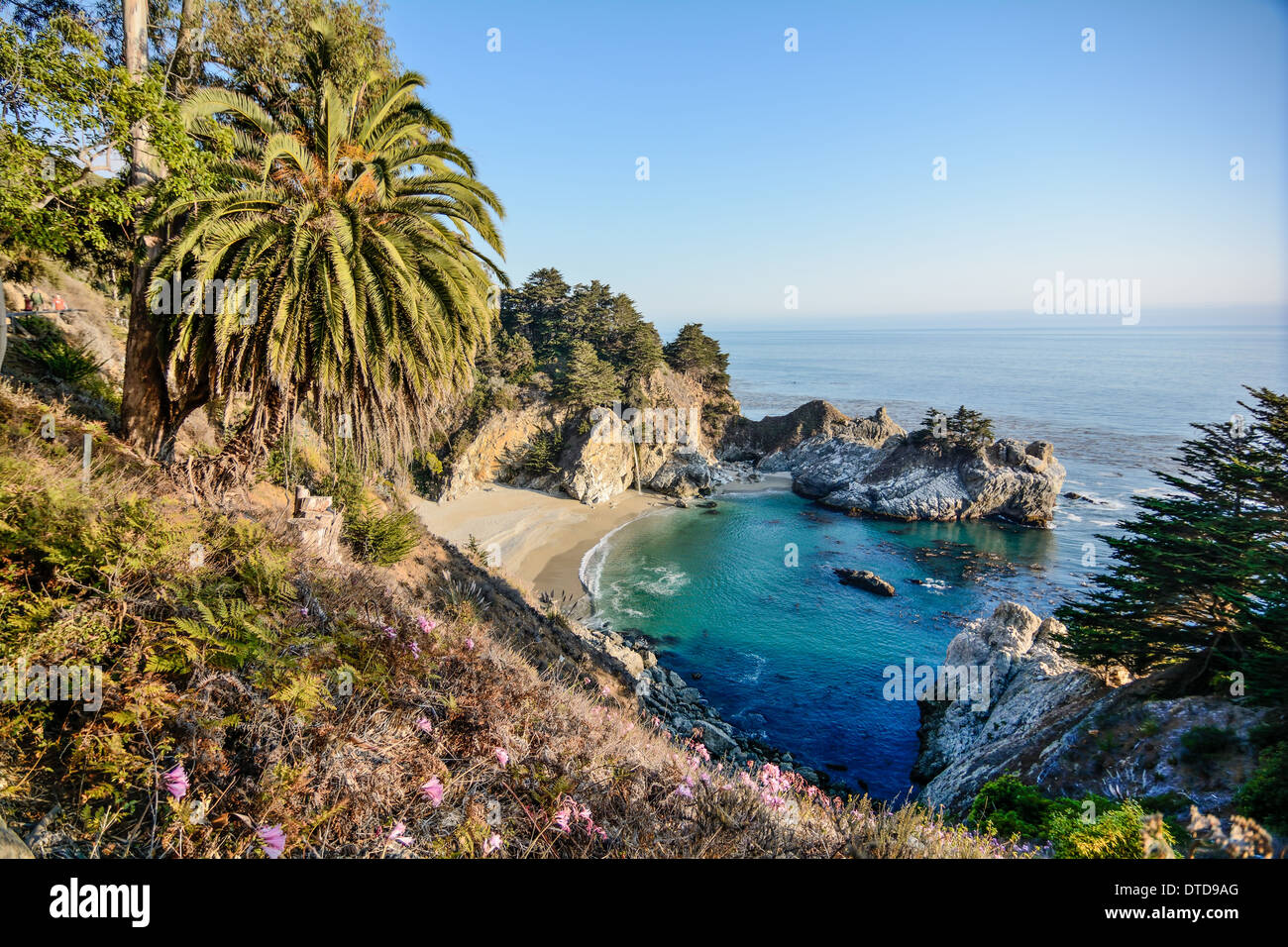 Strand in Kalifornien, McWay Falls Stockfoto