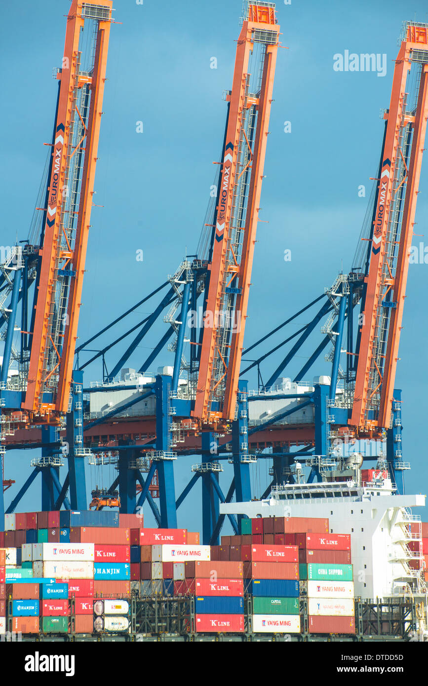 Container am Schiff am Dock mit Kranen in Europoort im Hafen von Rotterdam Stockfoto