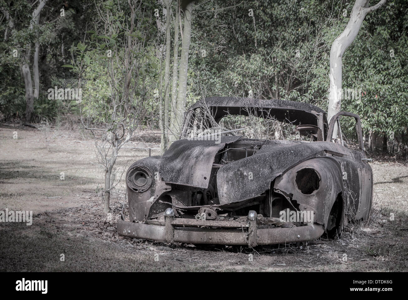 Verlassene alte rostige 1950er Jahre FJ Holden Ute in den australischen Busch Stockfoto