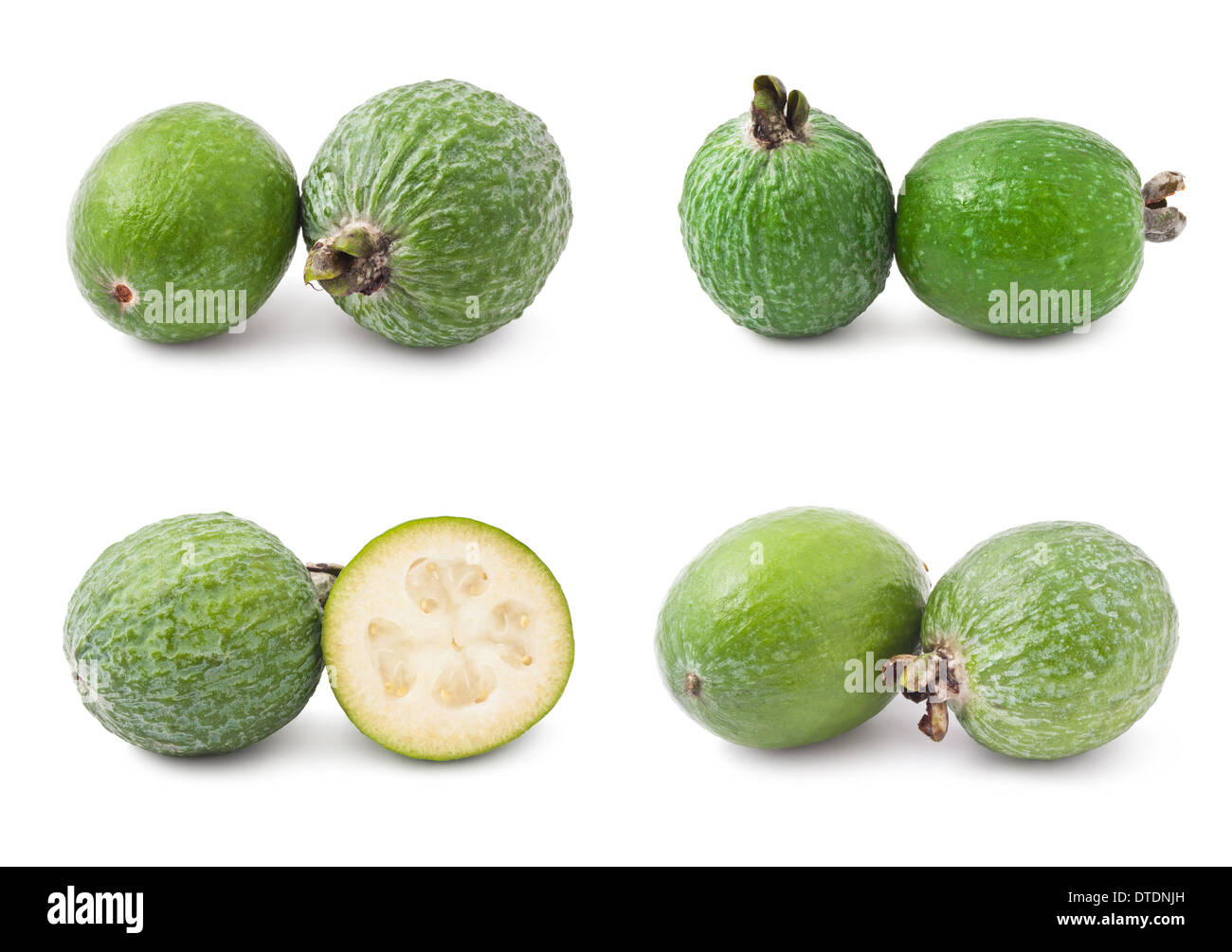 Feijoa Stockfoto