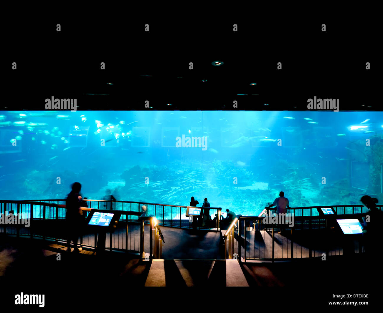 S.E.A Aquarium in Resorts World Sentosa Singapur Stockfoto