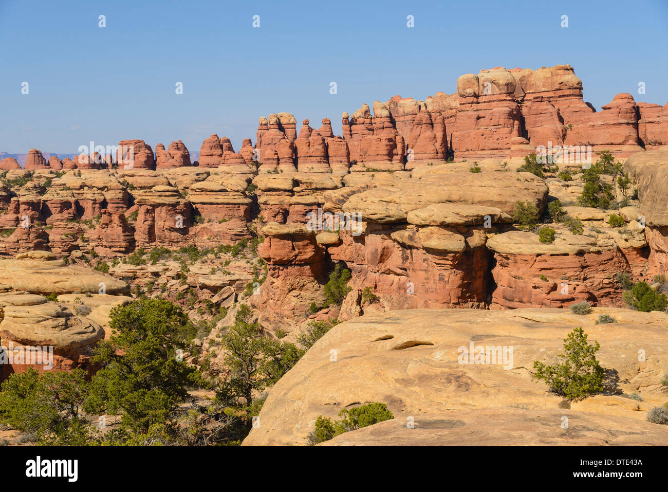 Felsformationen, The Needles Sektion des Canyonlands National Park, Utah, USA Stockfoto