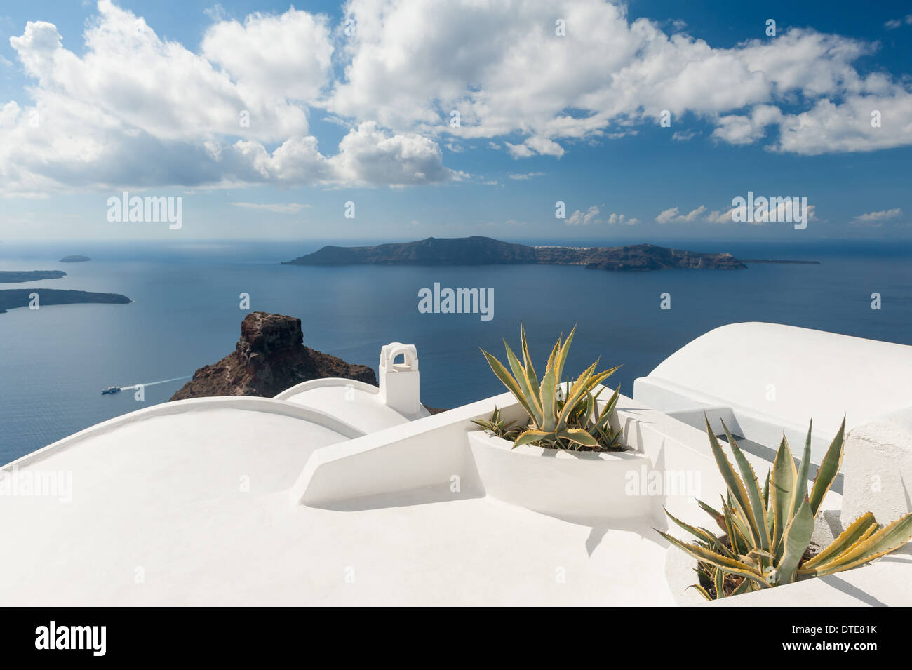 Auf dem Dach Pflanzen am Haus in Santorini Griechenland Stockfoto