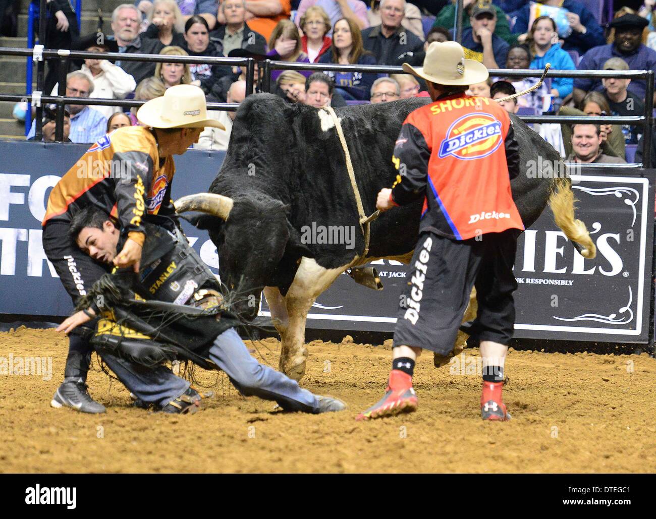 St. Louis, Missouri, USA. 16. Februar 2014. 16. Februar 2014: Fahrer Marco Eguchi auf Bull RFD-HD während der dritten Runde des Professional Bullriders errichtet Ford Tough Serie St. Louis Invitational im Scott-Trade-Center in St. Louis. Bildnachweis: Csm/Alamy Live-Nachrichten Stockfoto