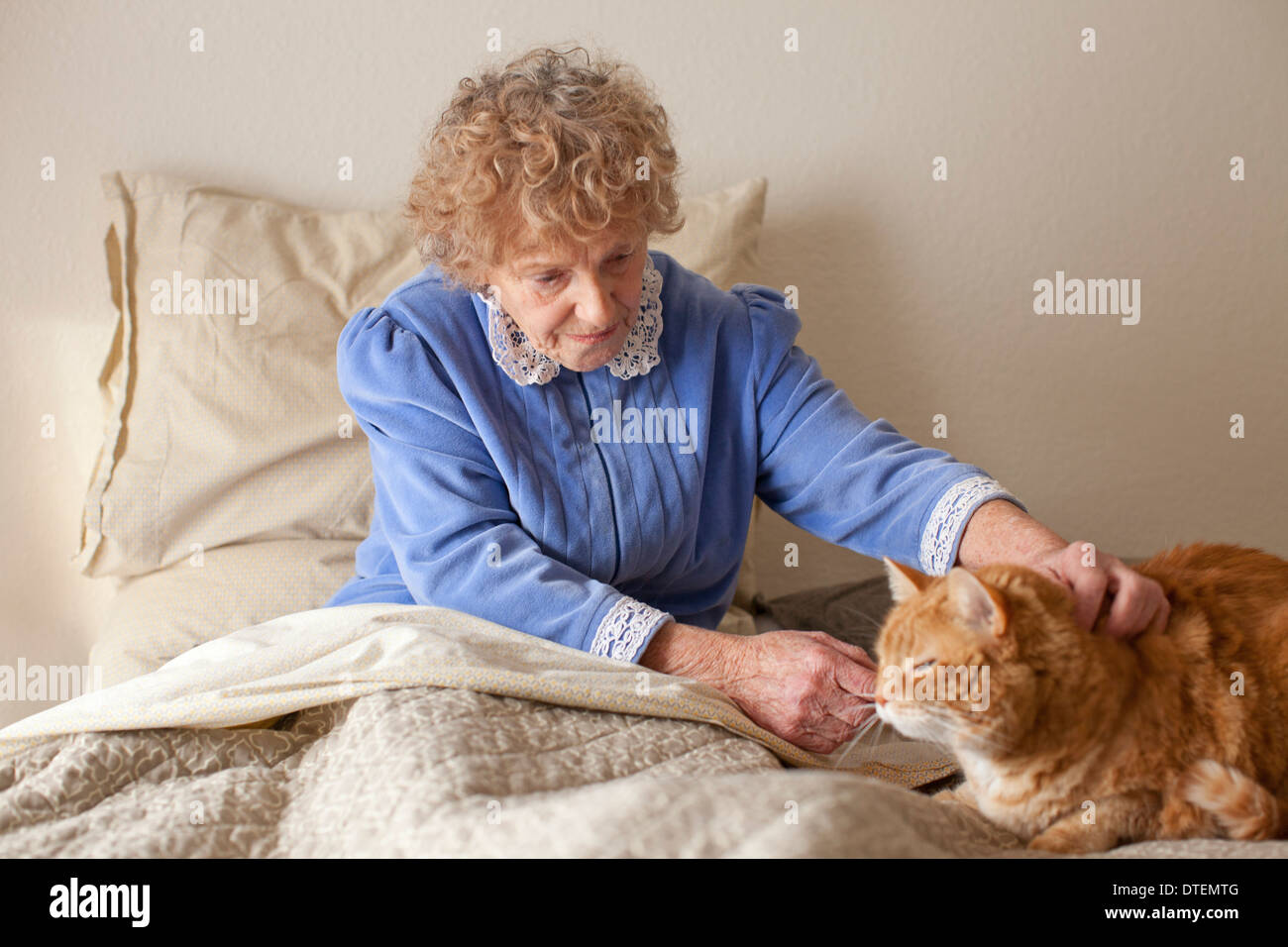 Ältere Frau streicheln Katze Stockfoto