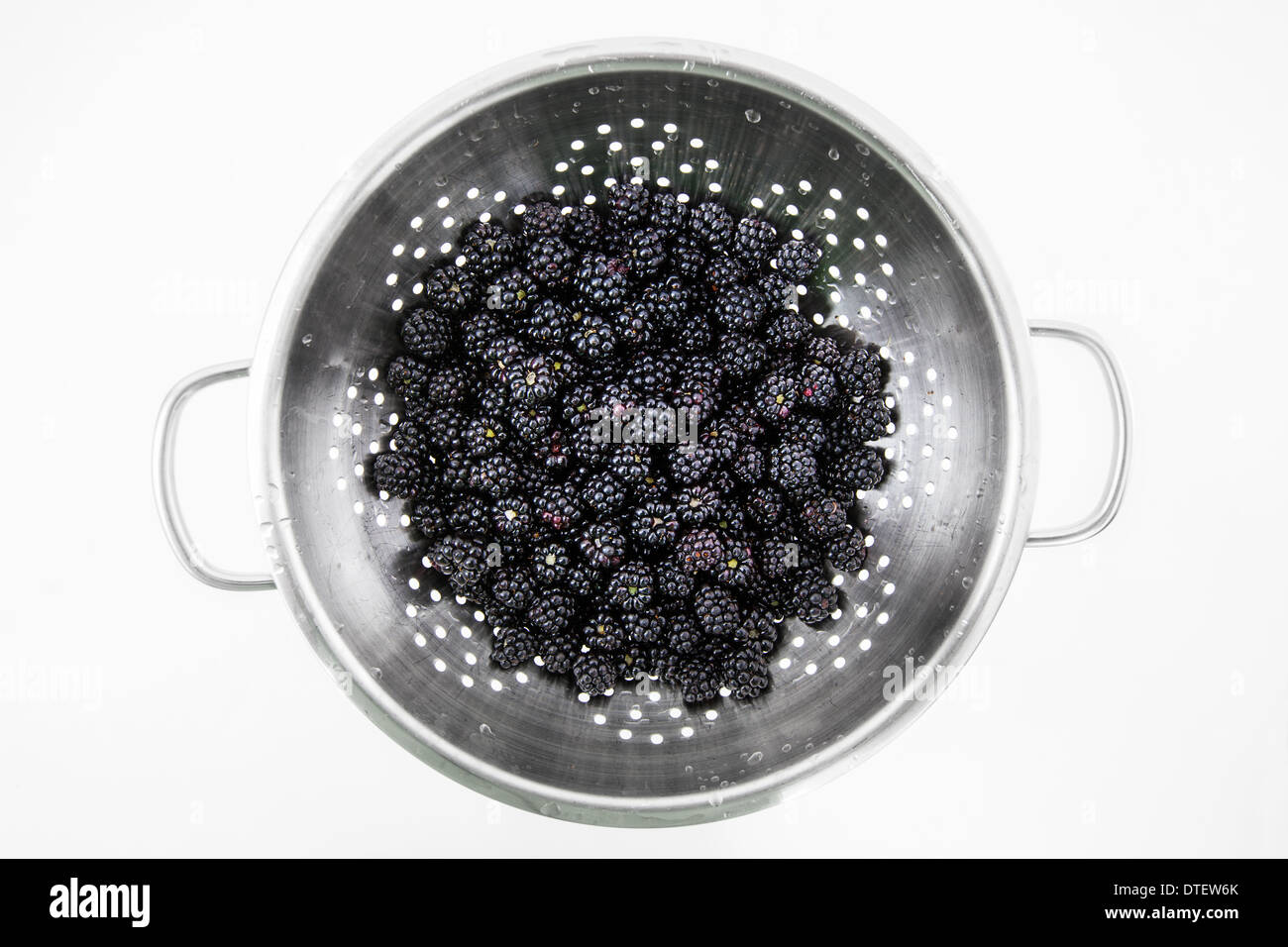 Frisch gepflückt und gewaschen Brombeeren in einem Metall Sieb isoliert auf weißem Hintergrund Stockfoto