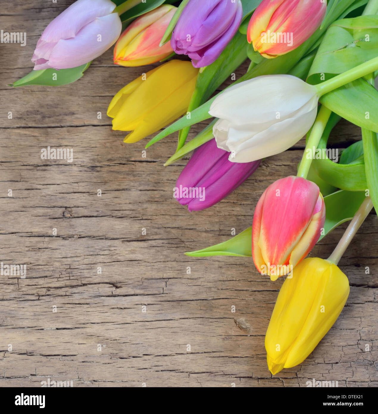 Strauß Bunte Tulpen über rustikal aus Holz Stockfoto