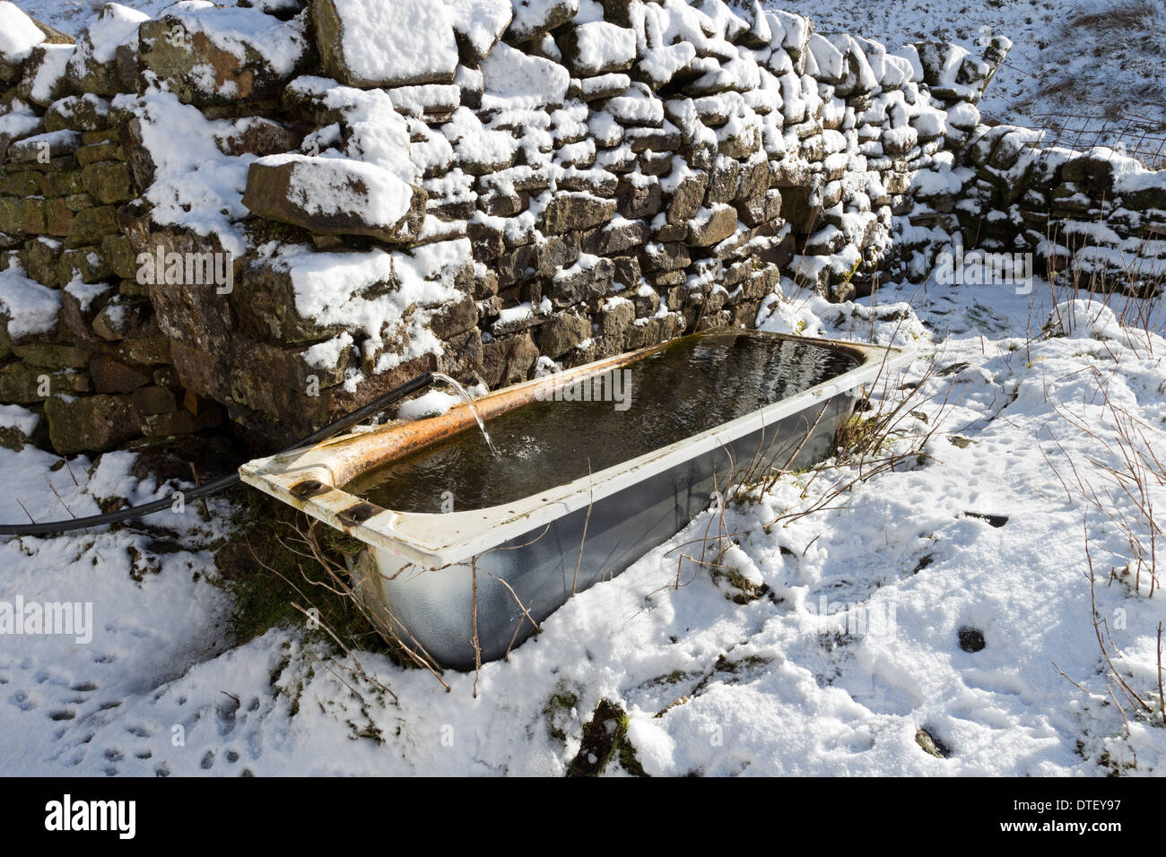 Altes Bad als einen Wassertrog, umgeben von Schnee UK Stockfoto