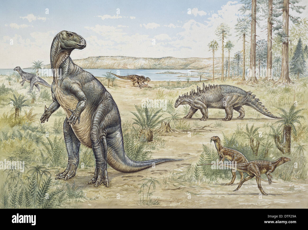 Untere Kreidezeit Dinosaurier in England entdeckt Stockfoto