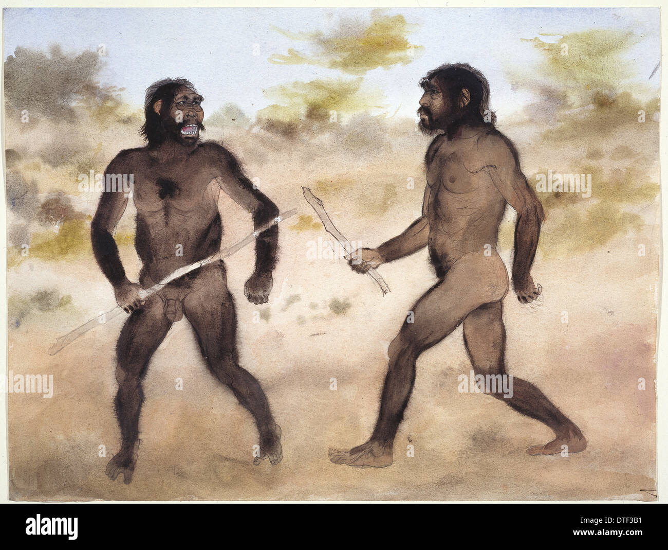 Paranthropus SP. (links) und Homo Erectus (rechts) Stockfoto