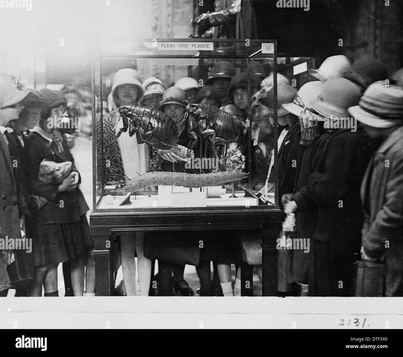 Menge um floh Fall, 1927 Stockfoto