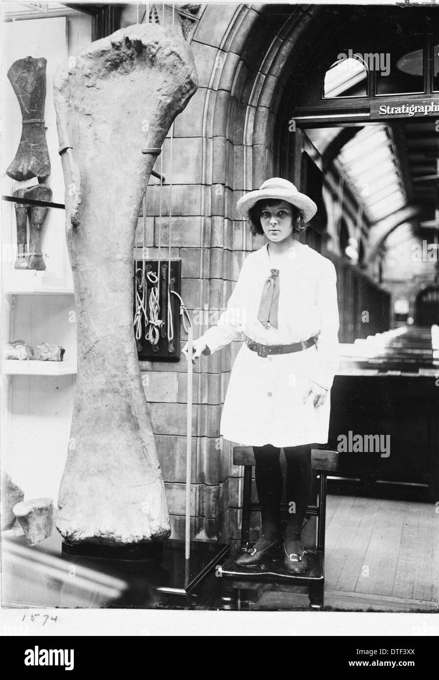 Mädchen mit Dinosaurier-Knochen, 1920er Jahre Stockfoto