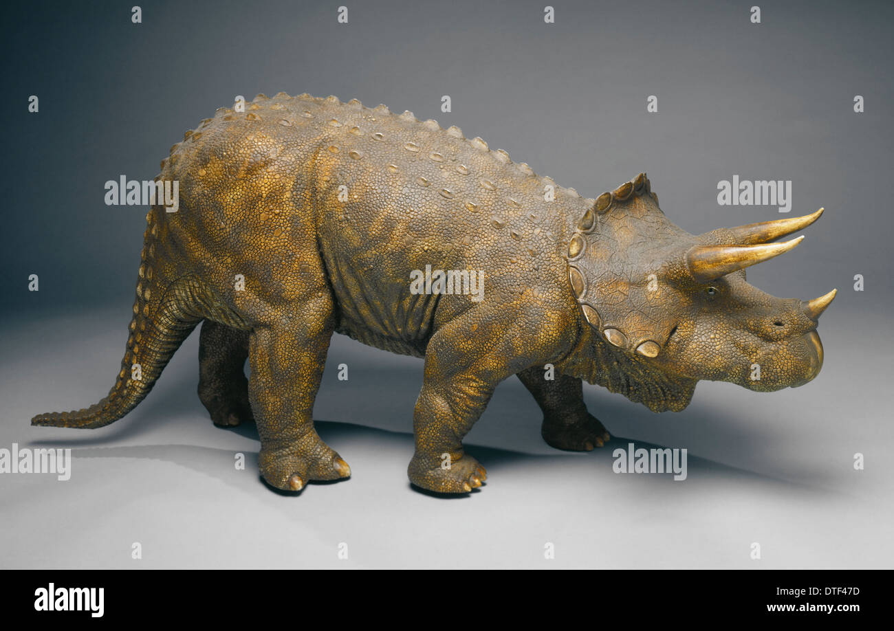 Modelo de un triceratops Fotos und Bildmaterial in hoher Auflösung