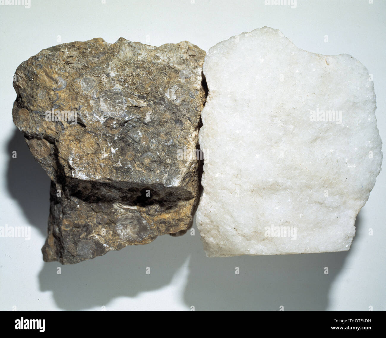 Kalkstein (rechts) und Marmor (links) Stockfoto