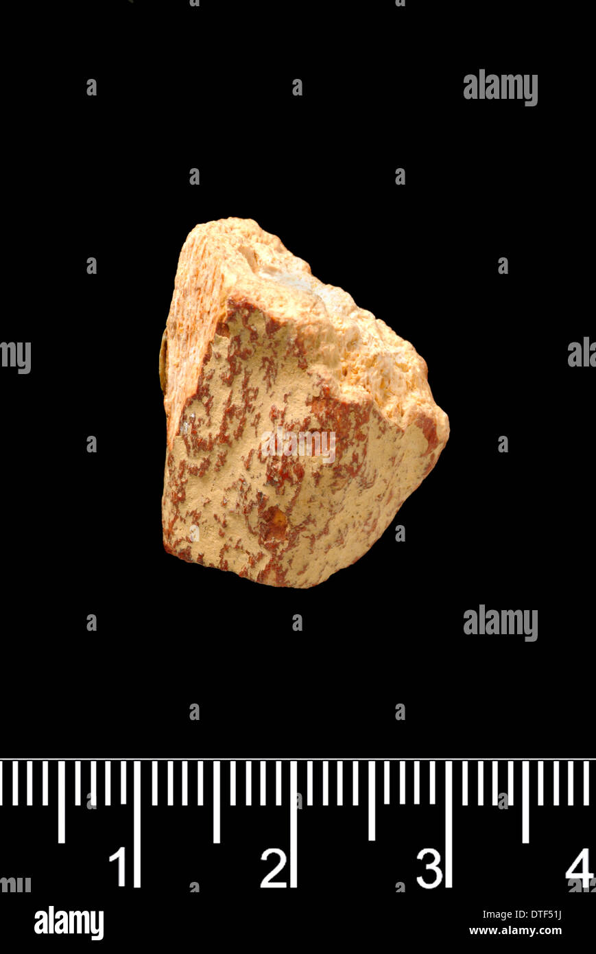 Piltdown Knochenstück Stockfoto