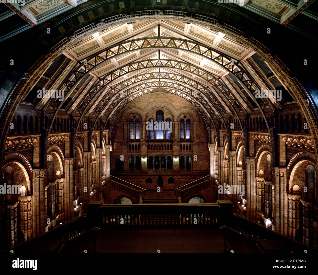 Die Haupthalle des Natural History Museum, London Stockfoto