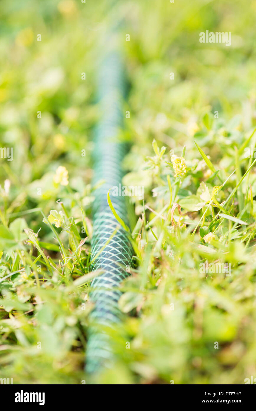 Nahaufnahme von Gartenschlauch auf dem grünen Rasen Stockfoto