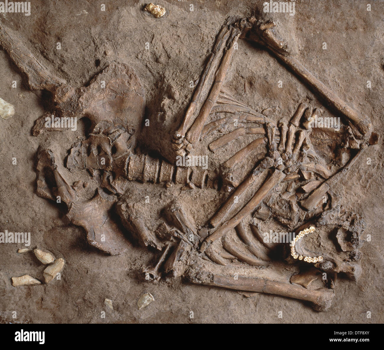 Grabstätte der Homo Neanderthalensis (Kebarah) Stockfoto