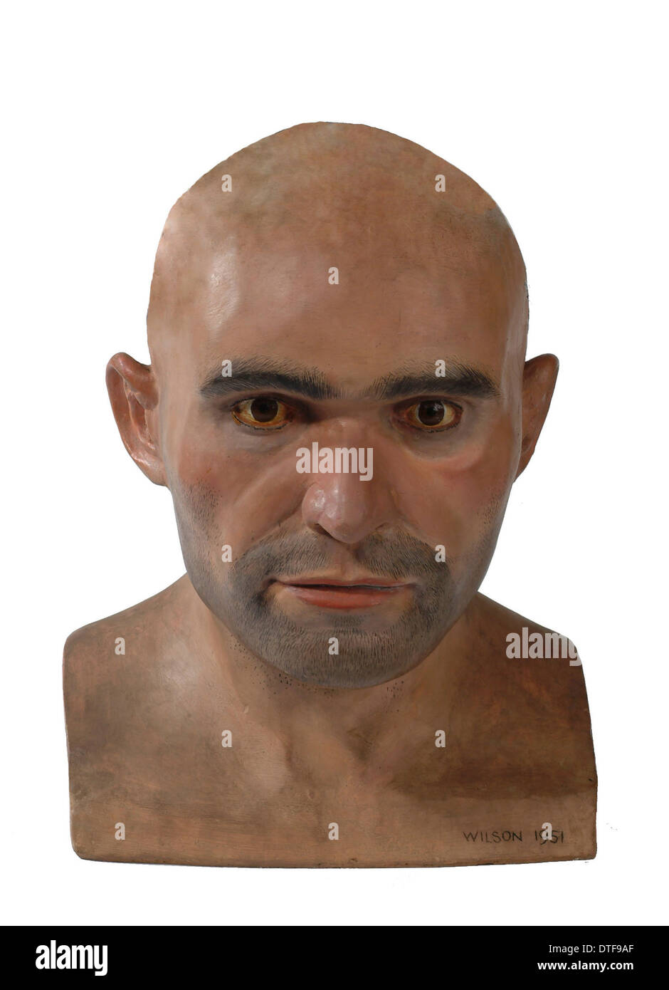 Homo Sapiens, Cro-Magnon-Mensch Stockfoto