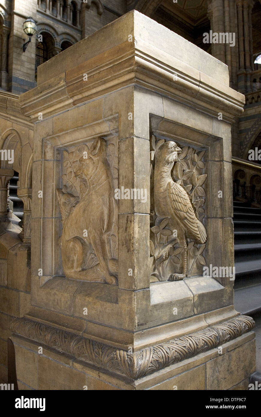 Terrakotta-Reliefskulptur am Natural History Museum, London Stockfoto