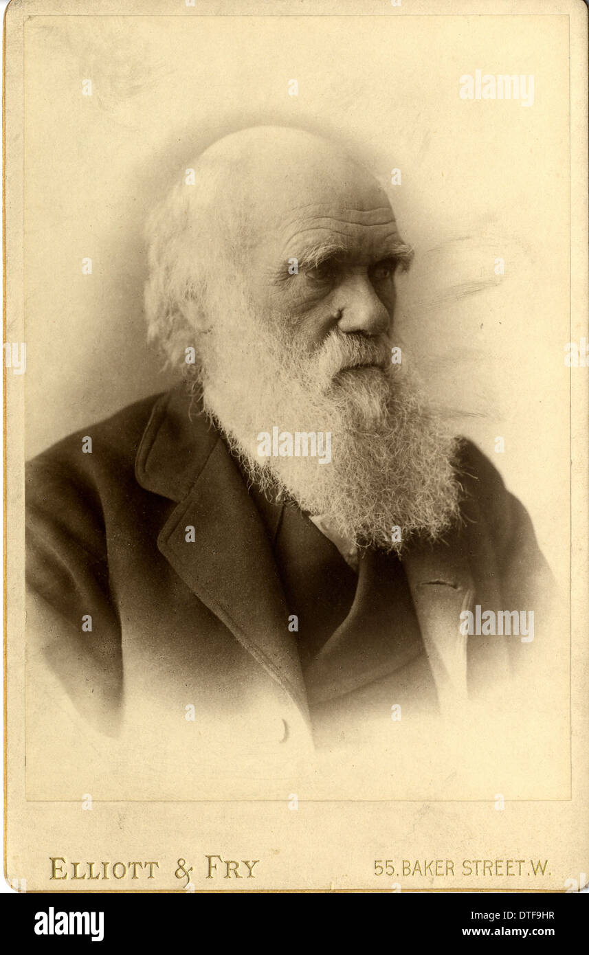 Charles Robert Darwin (1809-1881) Stockfoto
