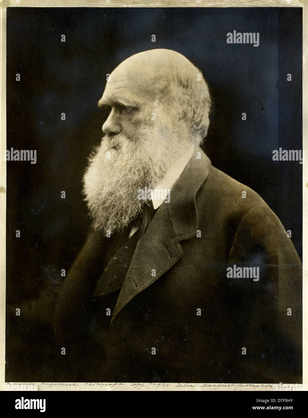 Charles Robert Darwin (1809-1882) Stockfoto