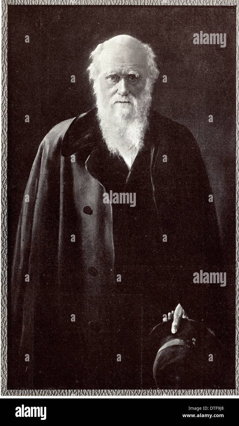 Charles Robert Darwin (1809-1882) Stockfoto