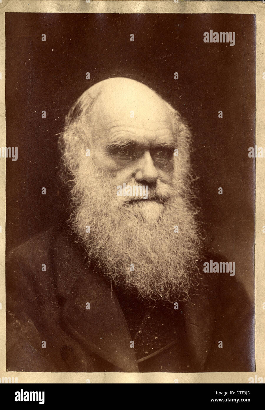 Charles Robert Darwin (1809-1882) Stockfoto