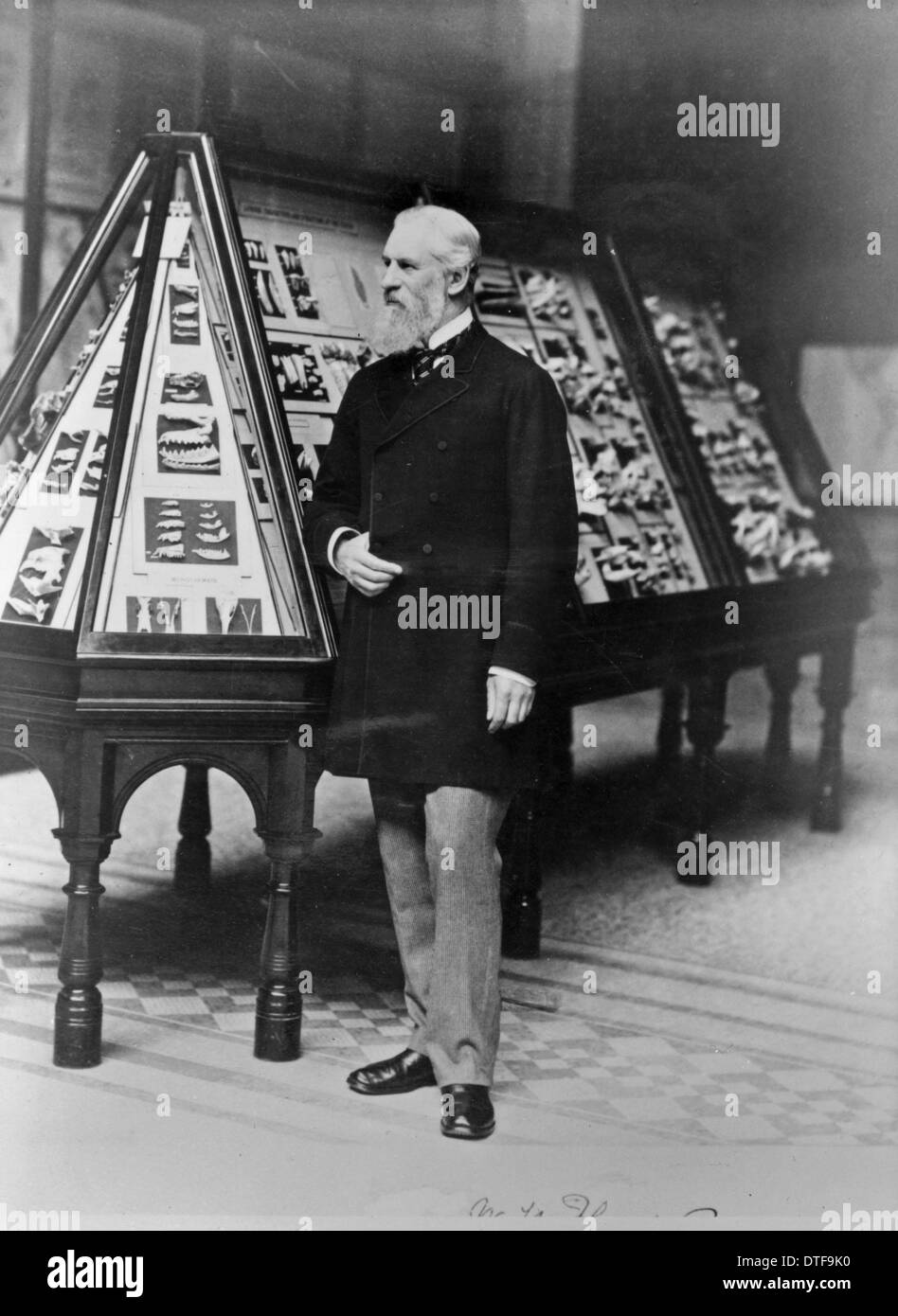 Sir William Henry Flower (1831-1899) Stockfoto