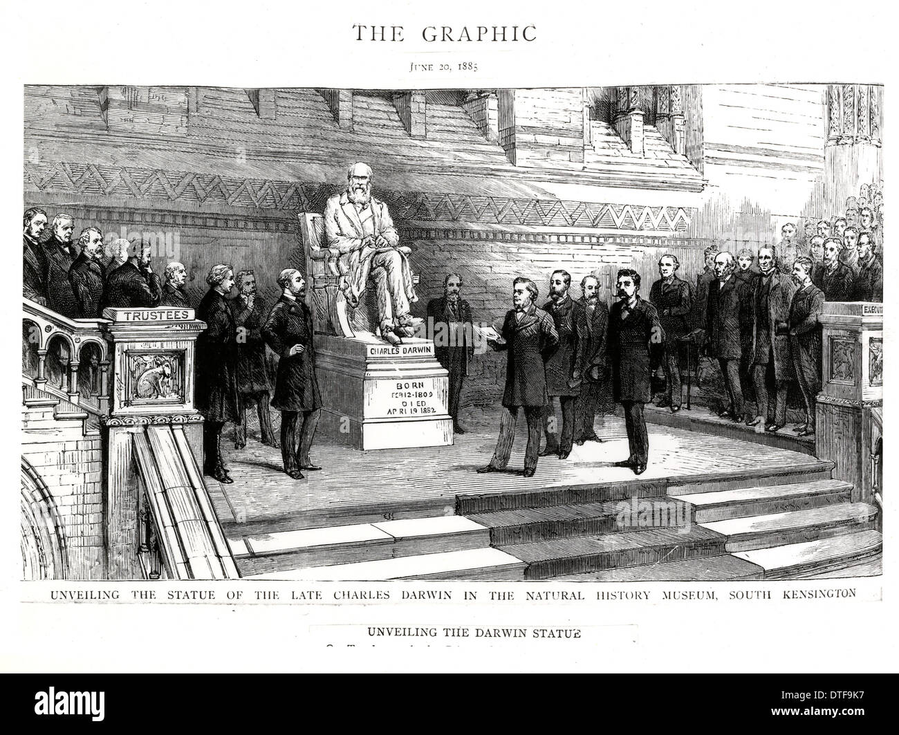 Charles Robert Darwin (1809-1882) Stockfoto