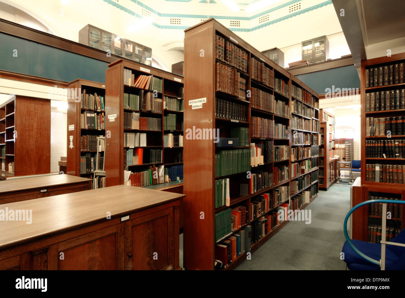 Die Botanik Bibliothekszimmer Spezialsammlungen Stockfoto