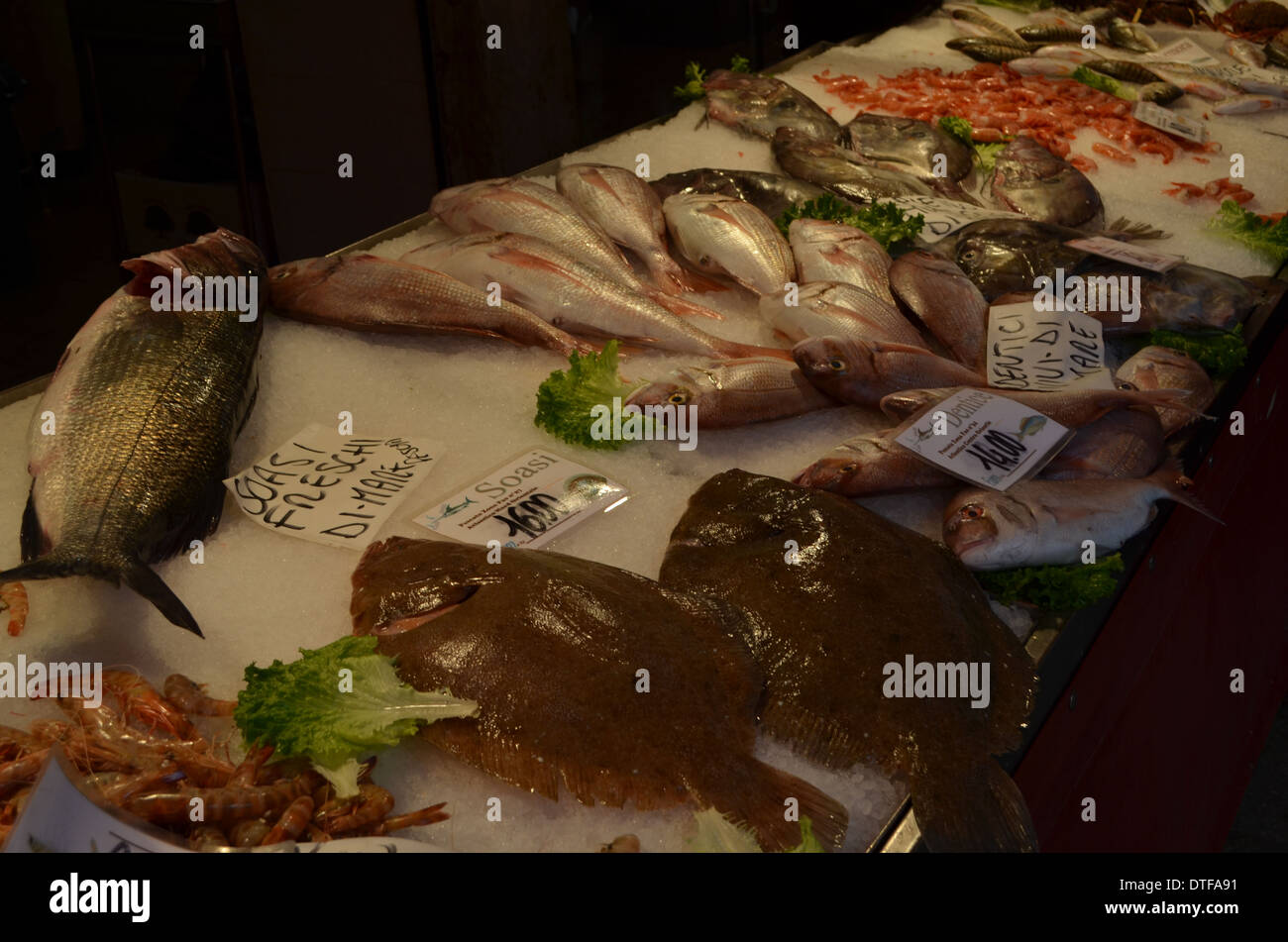 Venedig, Italy.A Anzeige der Fisch auf dem Markt neben der Rialto Brücke. Stockfoto