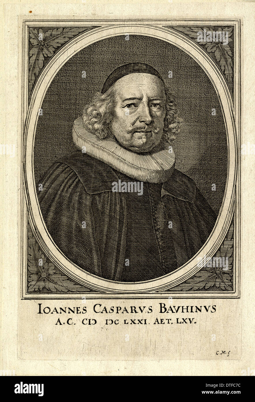 Johann caspar bauhin Fotos und Bildmaterial in hoher Auflösung Alamy