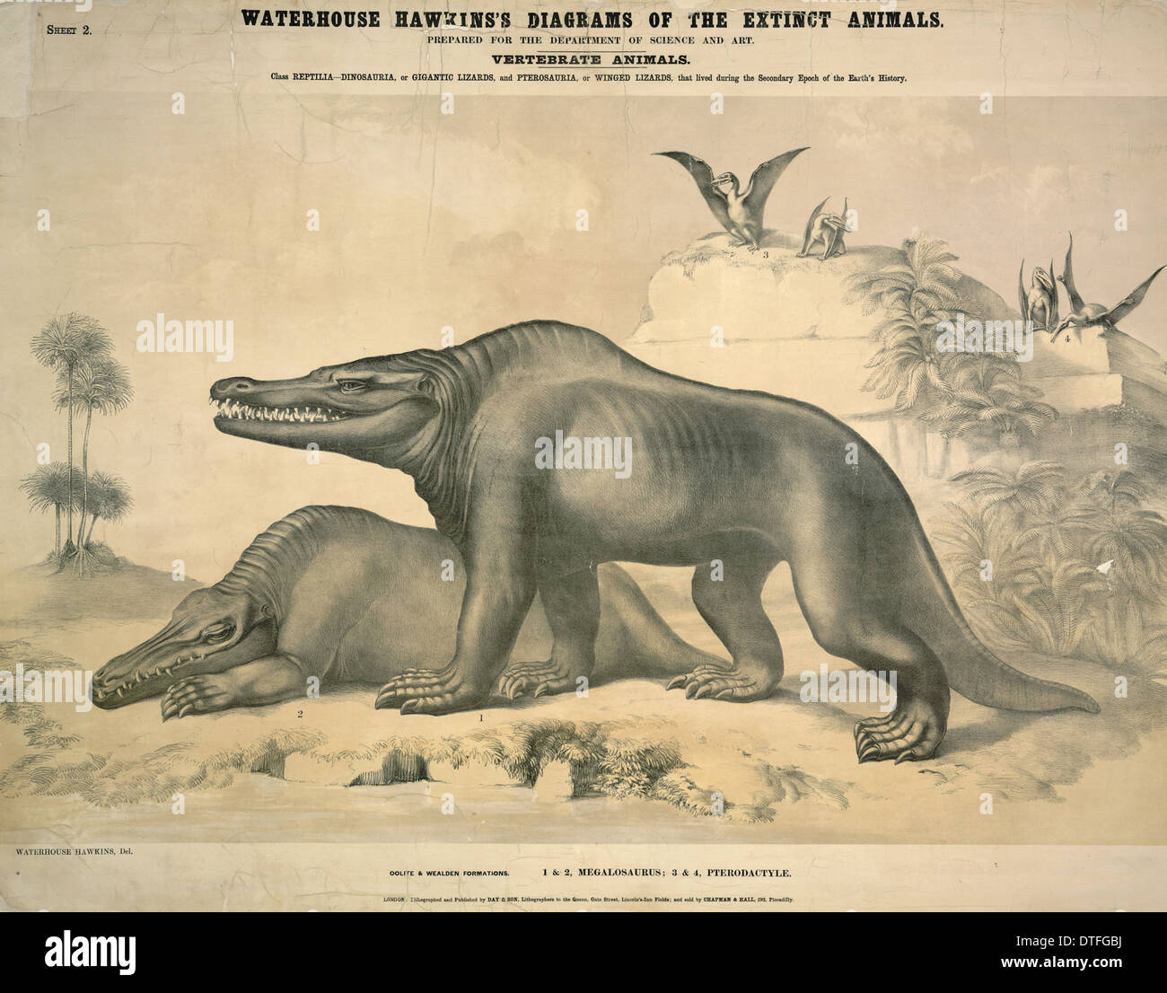 Megalosaurus und Pterodactyle Stockfoto