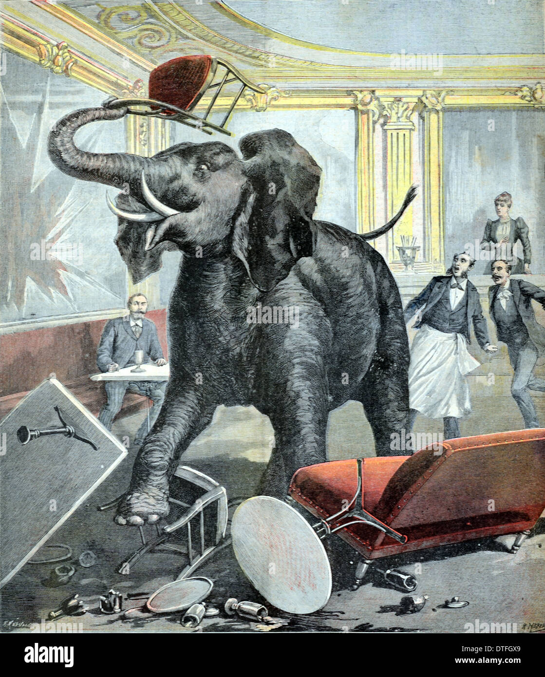 Elefanten auf den Amoklauf in einem Restaurant Toulouse France1891 Stockfoto