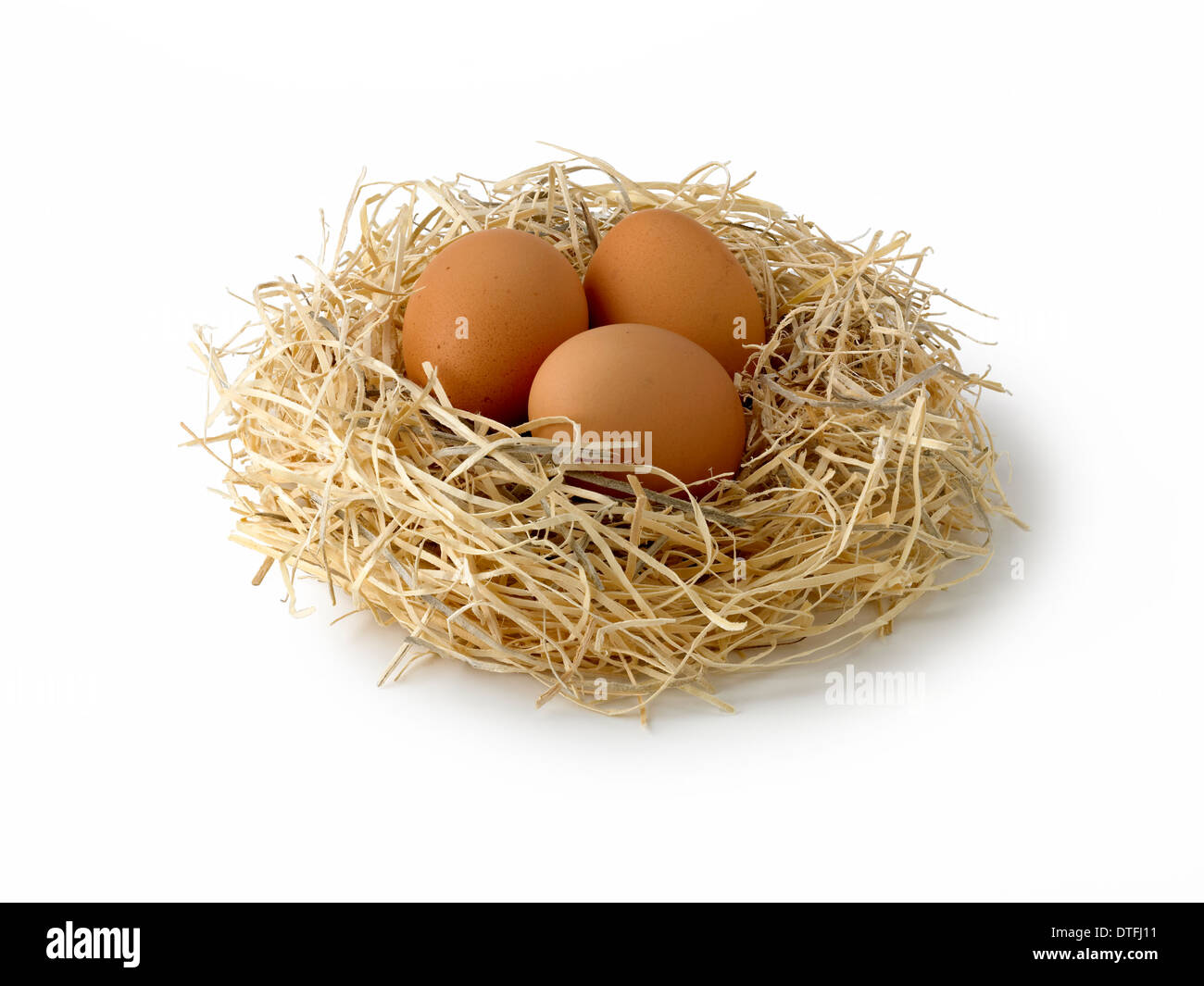 Eiern im nest Stockfoto