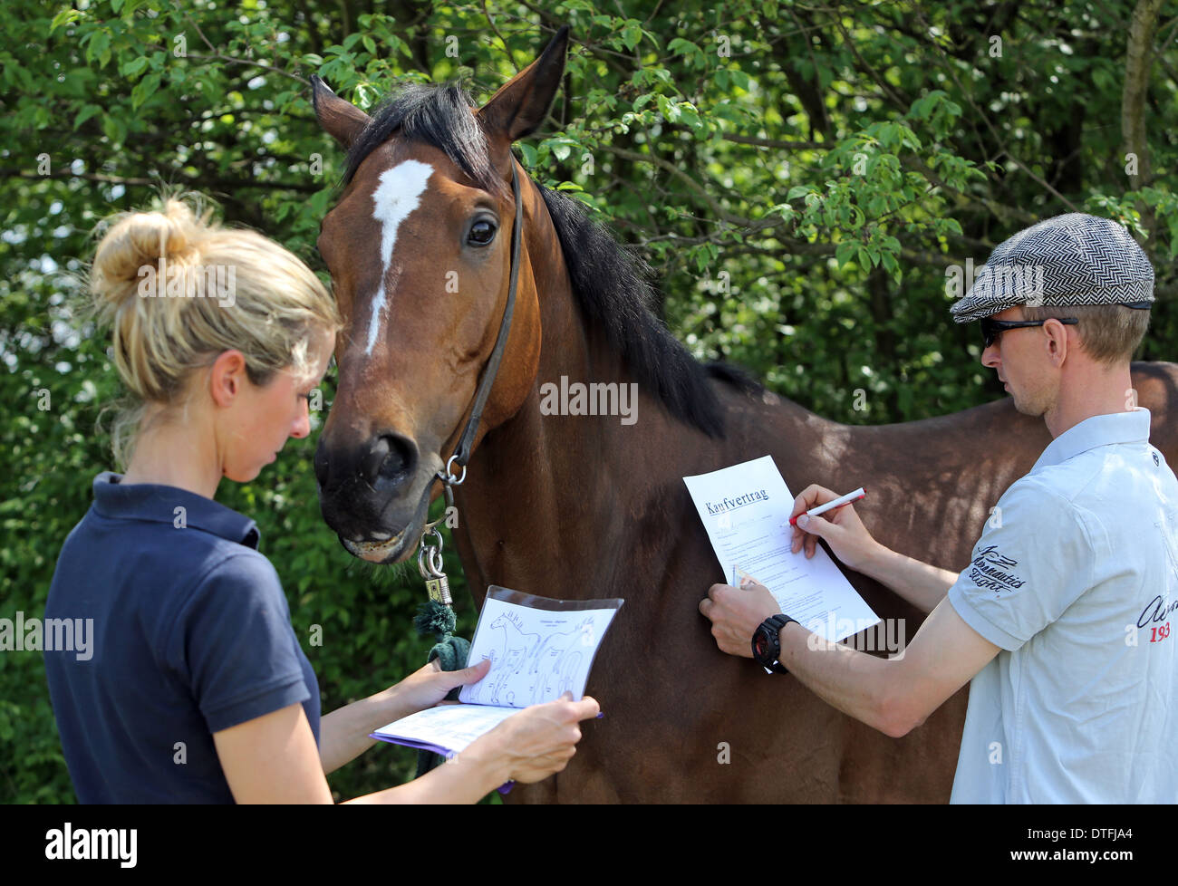 Koenigs Wusterhausen, Deutschland, Mann unterzeichnet den Kaufvertrag für ein Pferd Stockfoto