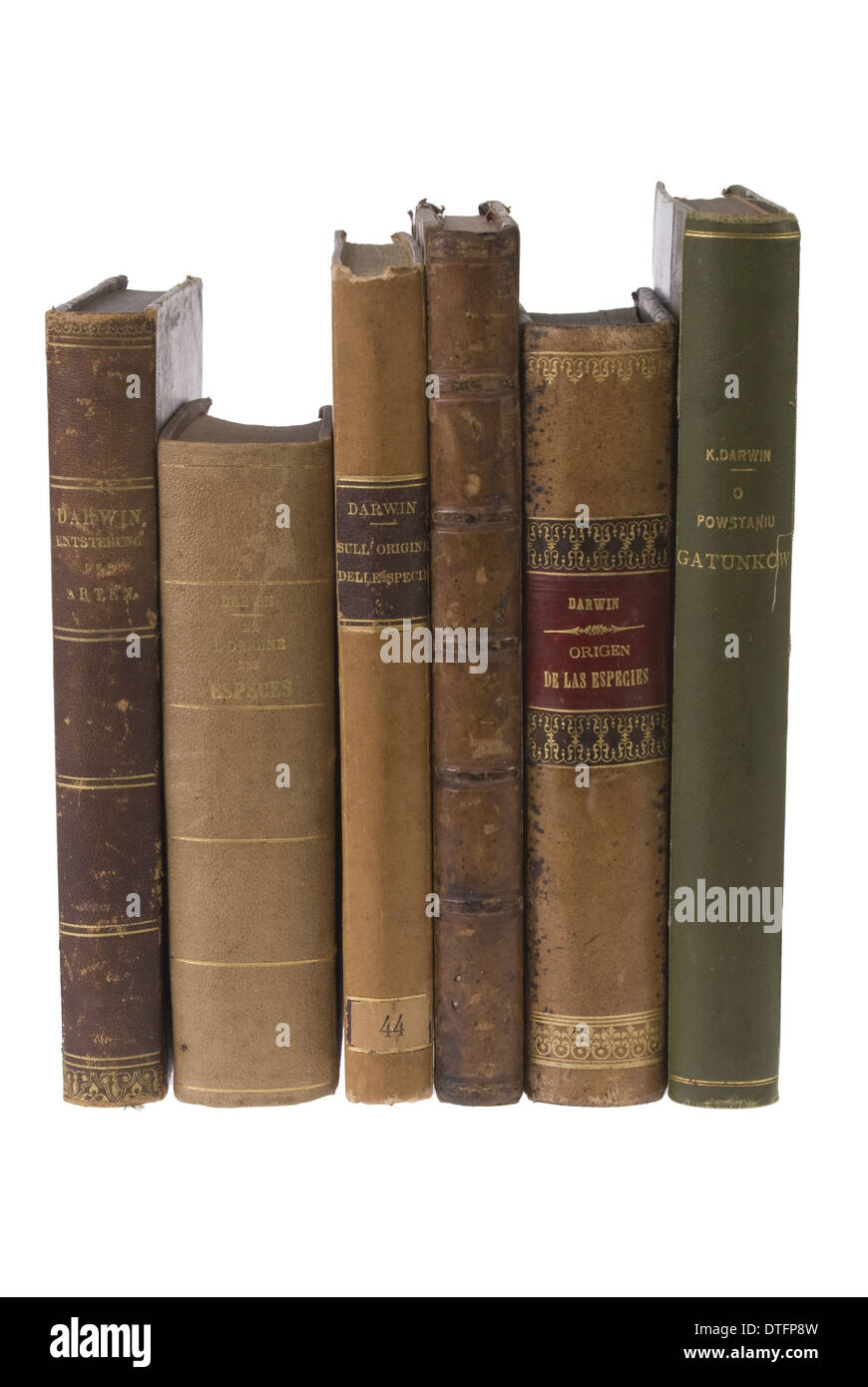 Die Entstehung der Arten Stockfoto