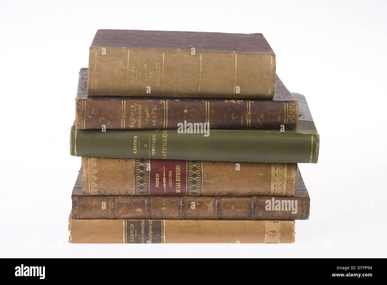 Die Entstehung der Arten Stockfoto