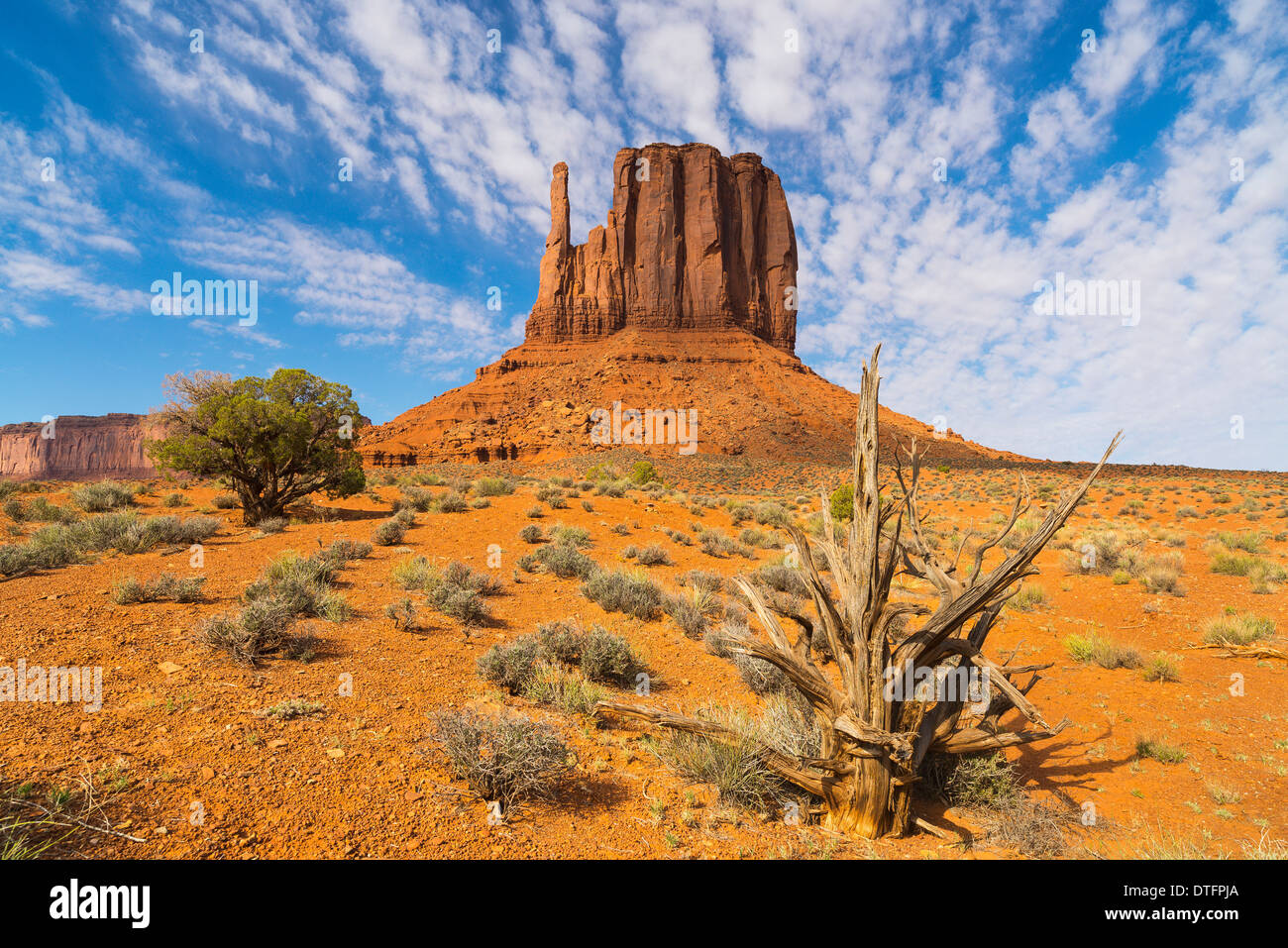 Monument Valley, West Mitten Butte, von Wildcat Trail, Arizona USA Stockfoto