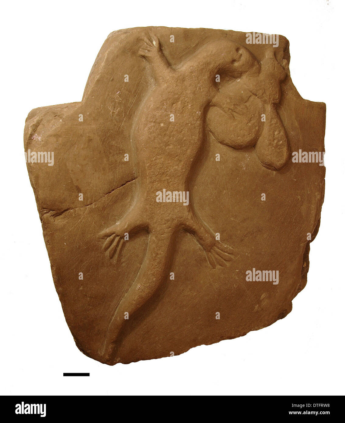 Gefälschte fossile Eidechse Stockfoto