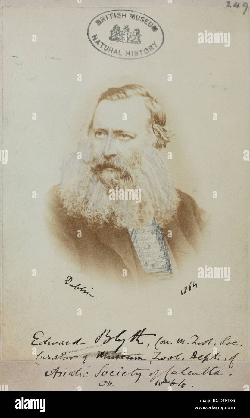 Edward Blyth (1810-1873) Stockfoto