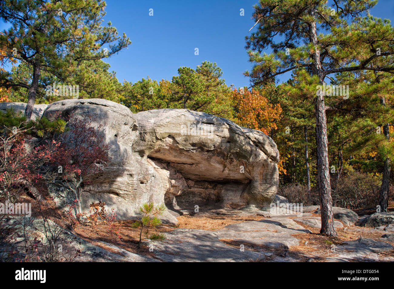 Pickle Federn Naturraum - Dome Rock in Missouri Stockfoto