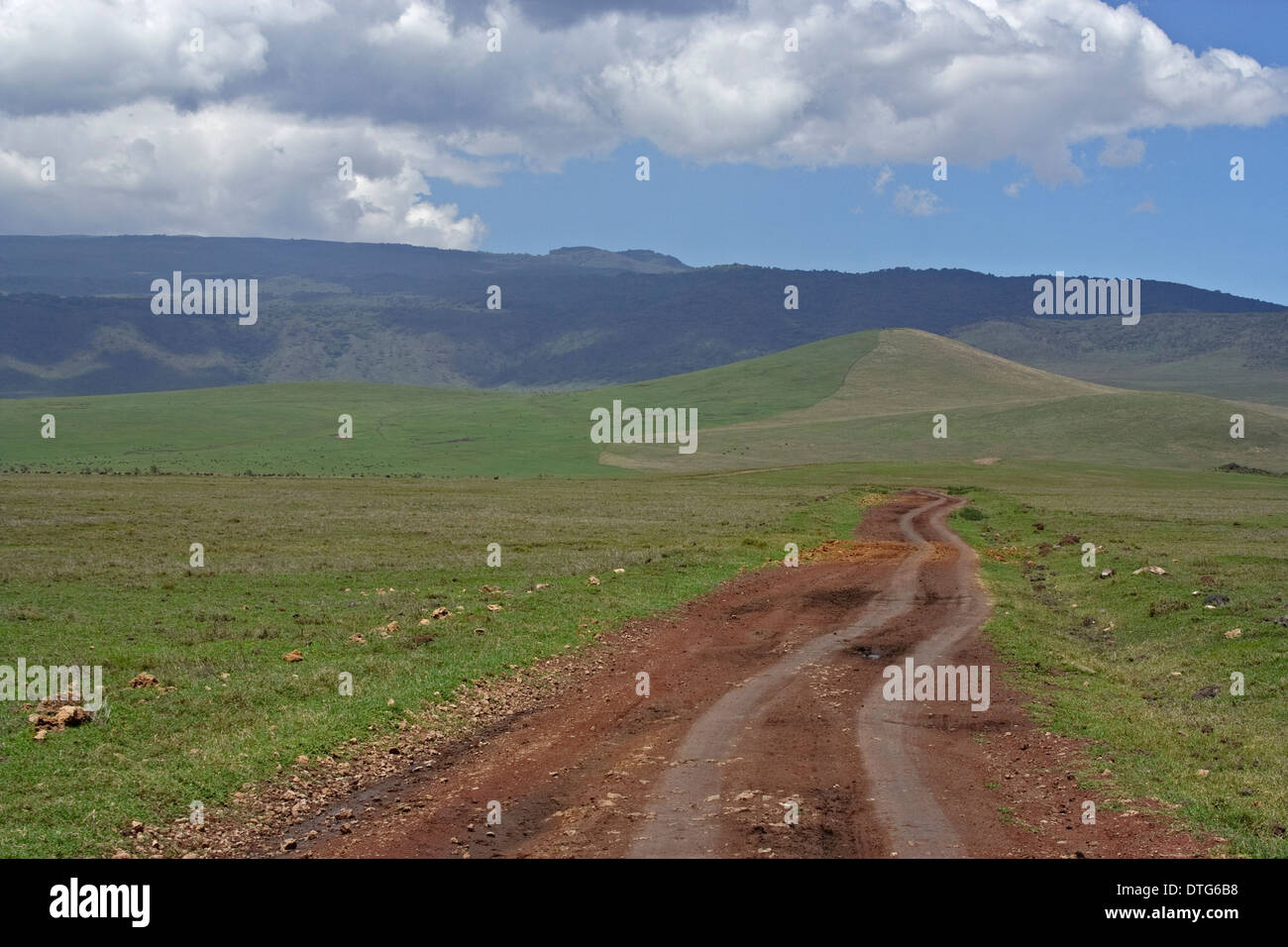 Kies, Straßen- und streifte Ebenen in den Ngorongoro Kraterboden Stockfoto