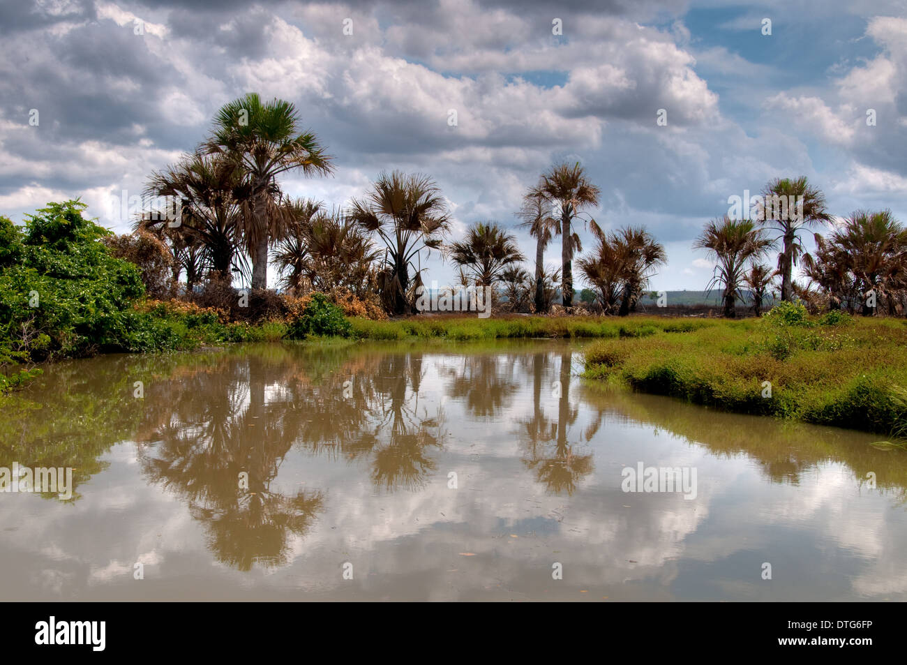 Tomkinson River, Arnhem Land Stockfoto