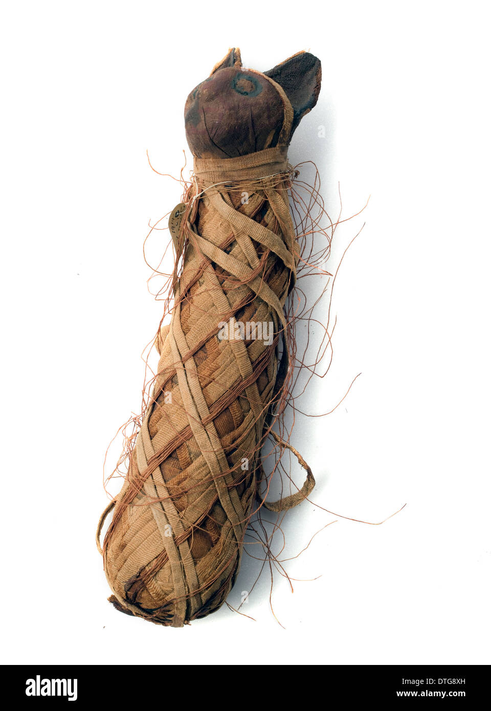 Ägyptische mumifizierte Katze Stockfoto