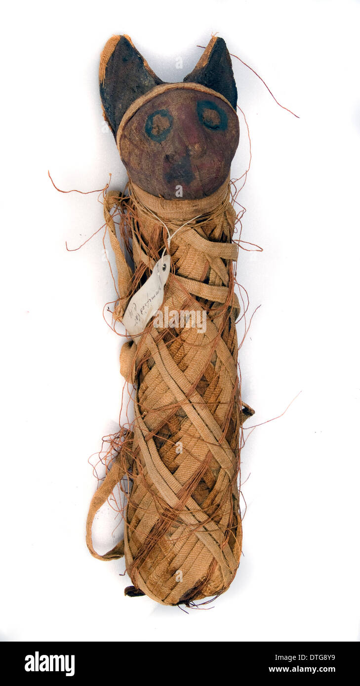 Ägyptische mumifizierte Katze Stockfoto