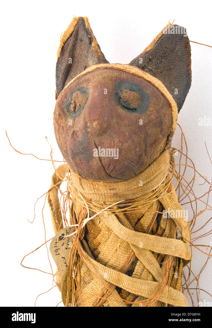 Ägyptische mumifizierte Katze Stockfoto