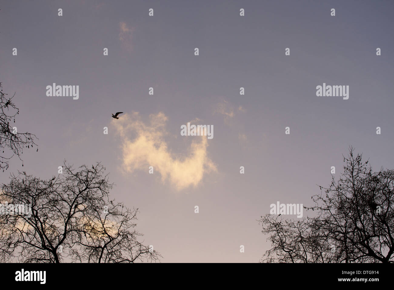 Winterhimmel in London Stockfoto